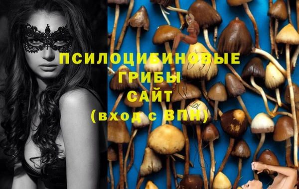 метамфетамин Алексеевка