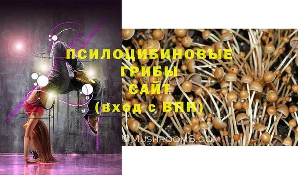 метамфетамин Алексеевка