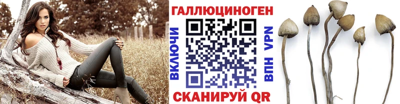 Галлюциногенные грибы прущие грибы нарко площадка Telegram Артёмовск